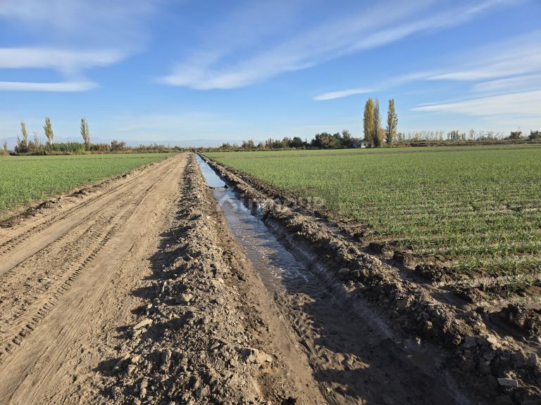 Finca en Venta en Junin, Mendoza