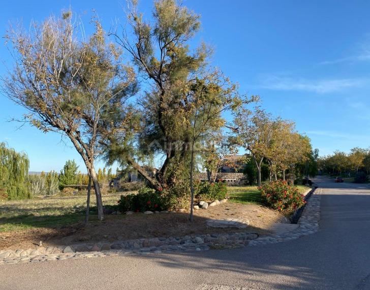 Lote en Venta en Lujan de Cuyo, Mendoza