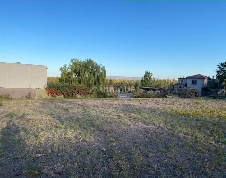 Lote en Venta en Lujan de Cuyo, Mendoza