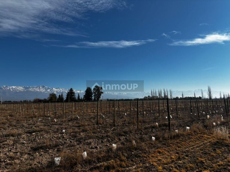 Finca en Venta en Tunuyan, Mendoza