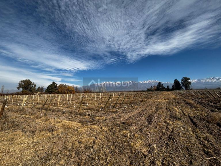 Finca en Venta en Tunuyan, Mendoza
