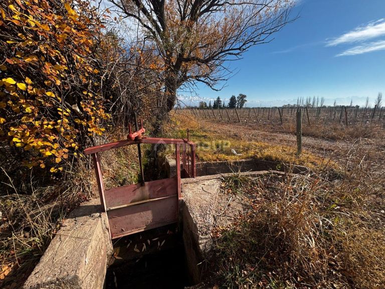 Finca en Venta en Tunuyan, Mendoza