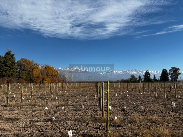 Finca en Venta en Tunuyan, Mendoza