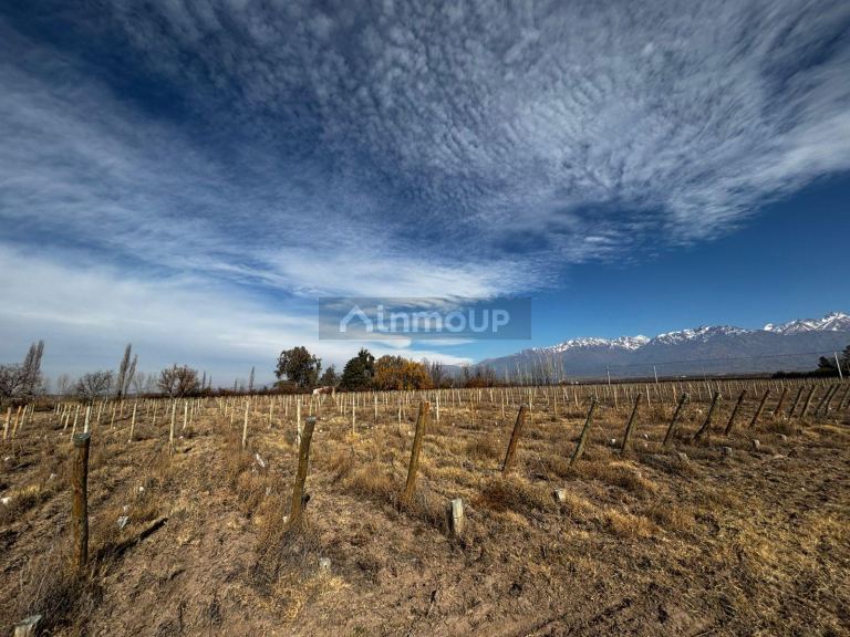 Finca en Venta en Tunuyan, Mendoza