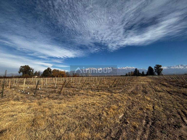 Finca en Venta en Tunuyan, Mendoza