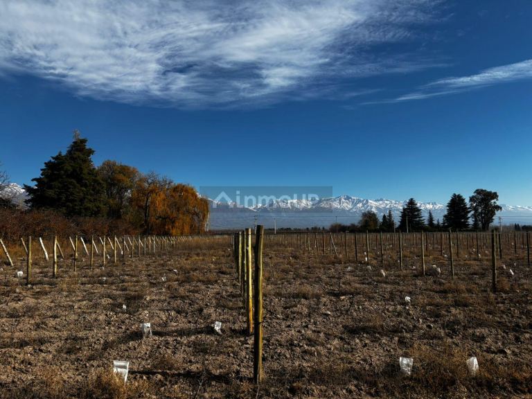 Finca en Venta en Tunuyan, Mendoza