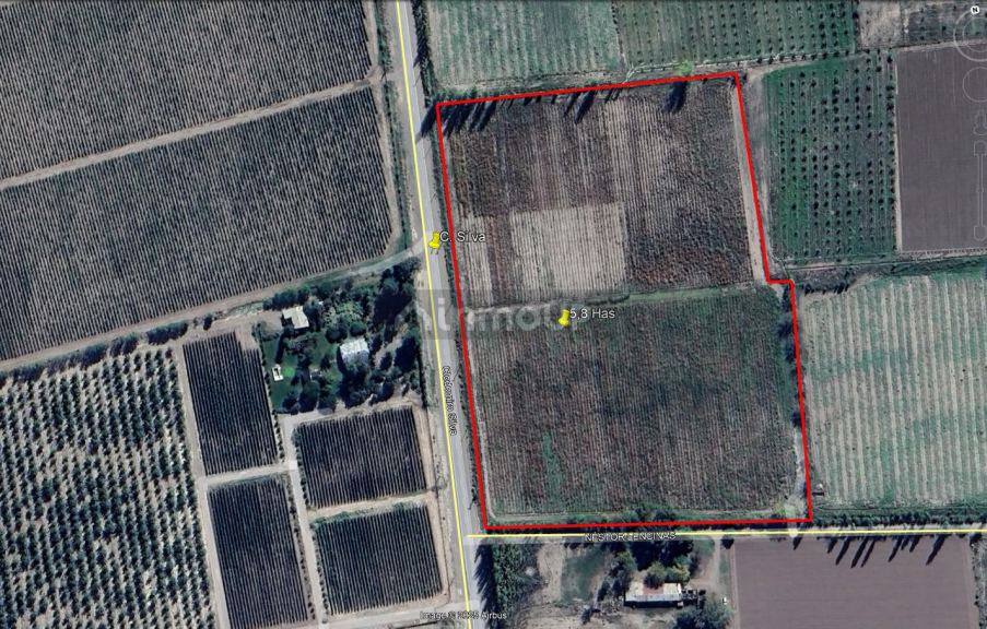 Finca en Venta en Tunuyan, Mendoza