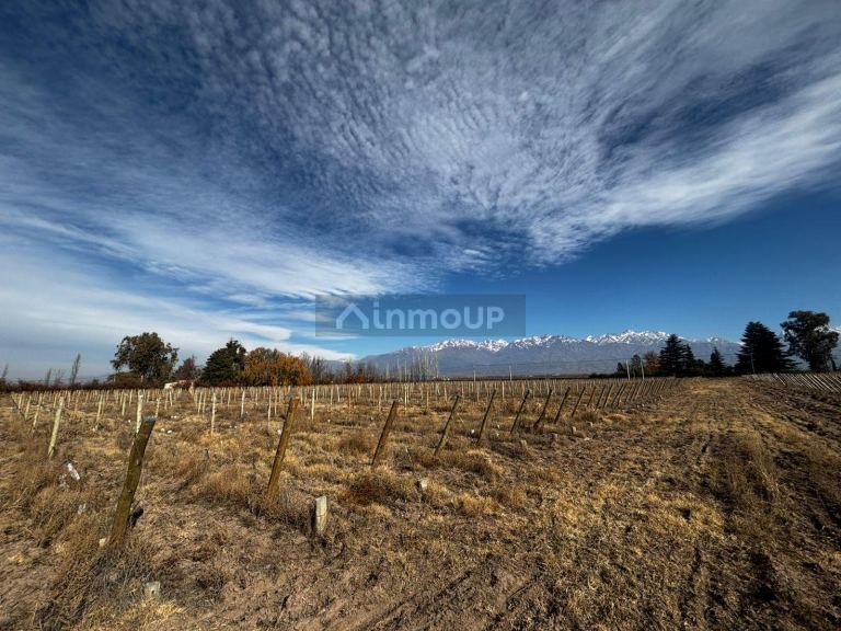 Finca en Venta en Tunuyan, Mendoza
