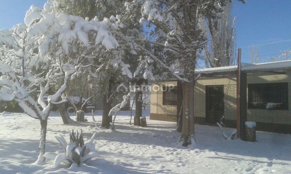 Finca en Venta en San Carlos, Mendoza