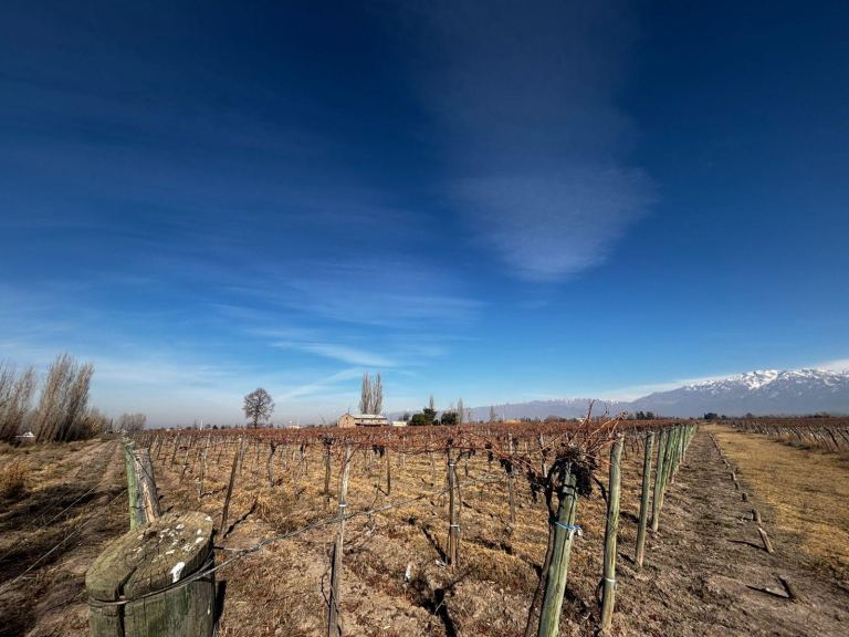 Finca en Venta en San Carlos, Mendoza