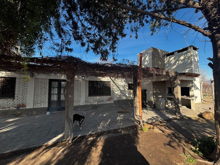 Finca en Venta en San Carlos, Mendoza