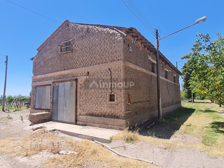 Finca en Venta en San Carlos, Mendoza