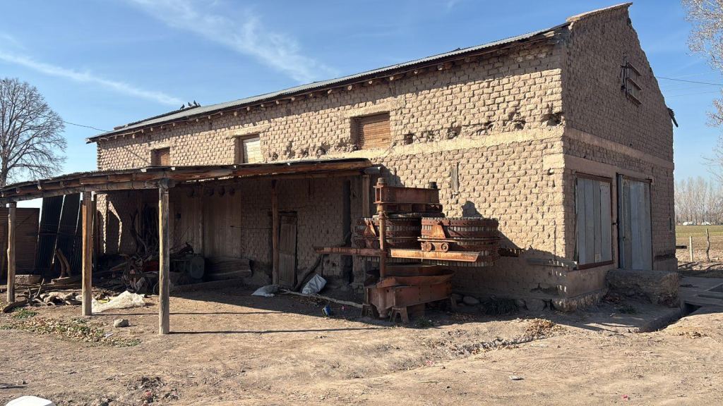 Finca en Venta en San Carlos, Mendoza