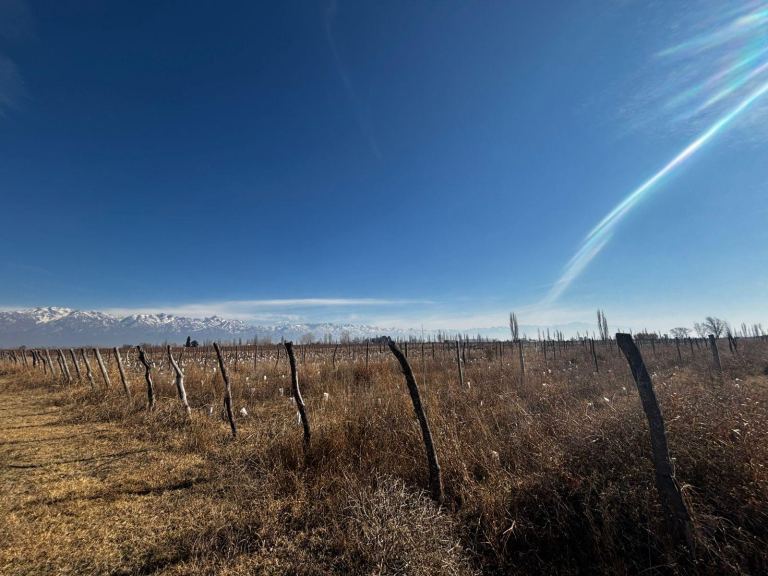 Finca en Venta en San Carlos, Mendoza