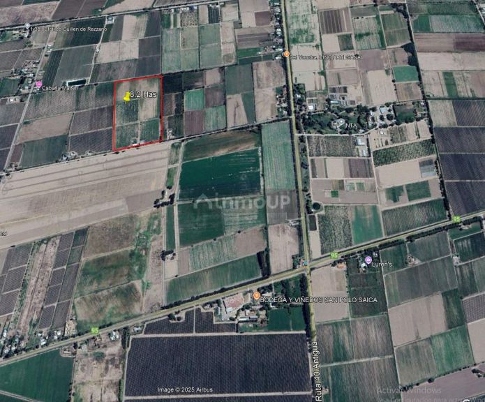 Finca en Venta en San Carlos, Mendoza