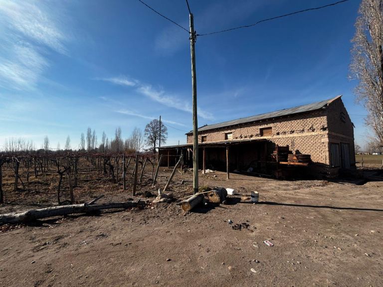 Finca en Venta en San Carlos, Mendoza