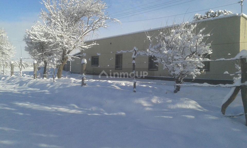 Finca en Venta en San Carlos, Mendoza