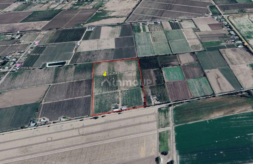 Finca en Venta en San Carlos, Mendoza