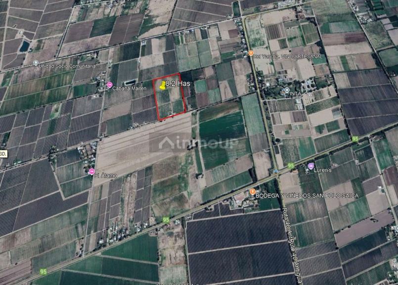 Finca en Venta en San Carlos, Mendoza