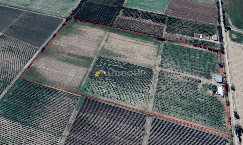 Finca en Venta en San Carlos, Mendoza