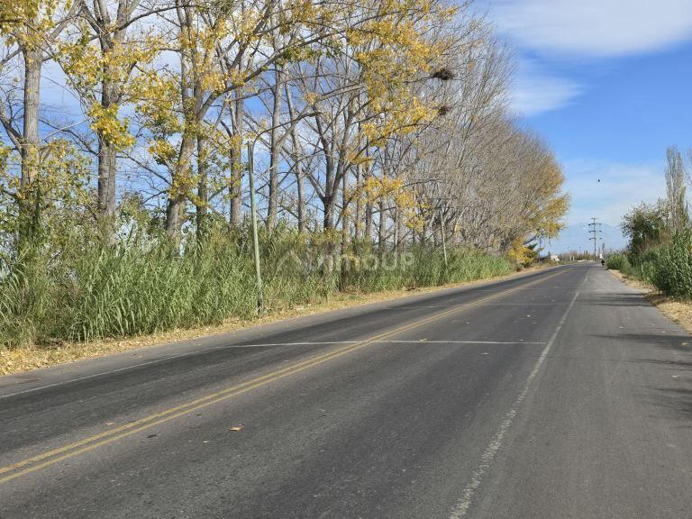 Finca en Venta en Maipu, Mendoza