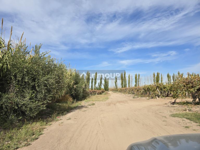 Finca en Venta en Maipu, Mendoza