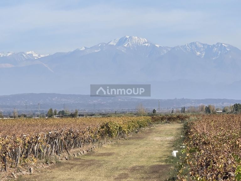 Finca en Venta en Maipu, Mendoza