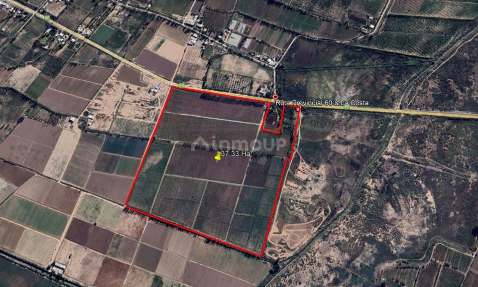 Finca en Venta en Maipu, Mendoza