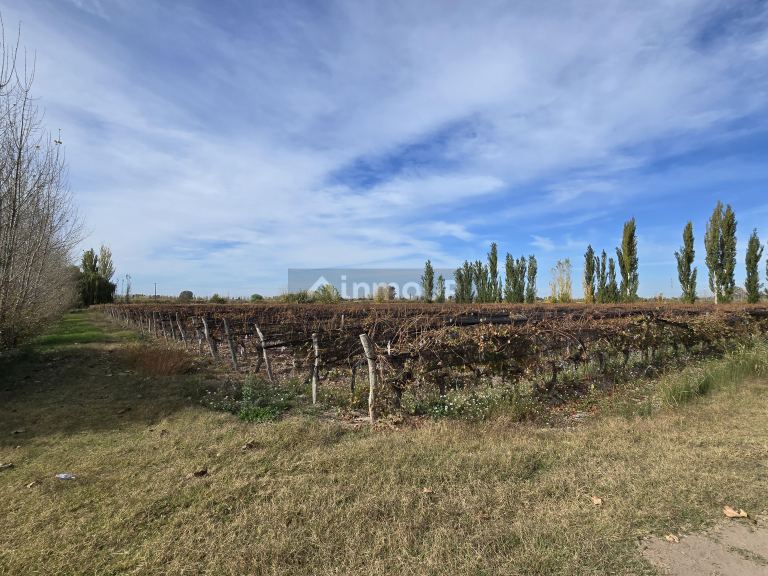 Finca en Venta en Maipu, Mendoza