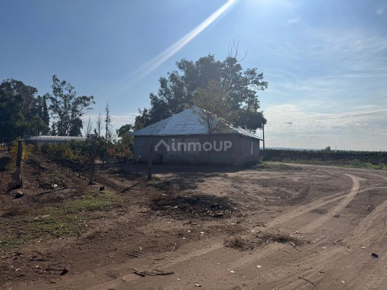 Finca en Venta en Lujan de Cuyo, Mendoza