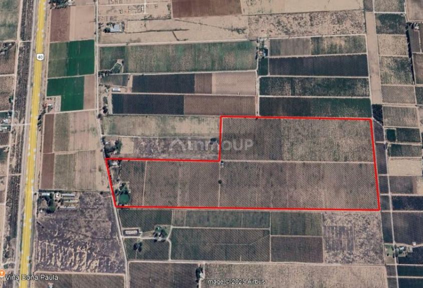 Finca en Venta en Lujan de Cuyo, Mendoza