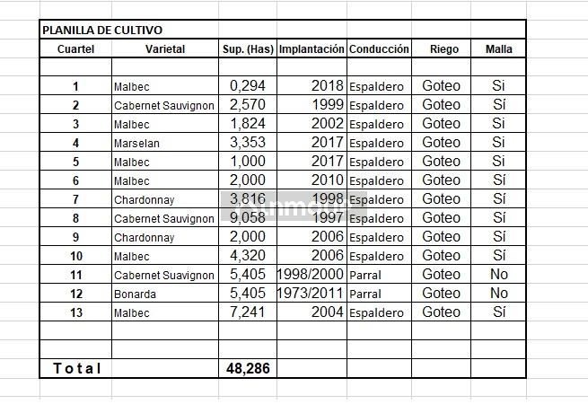 Finca en Venta en Lujan de Cuyo, Mendoza