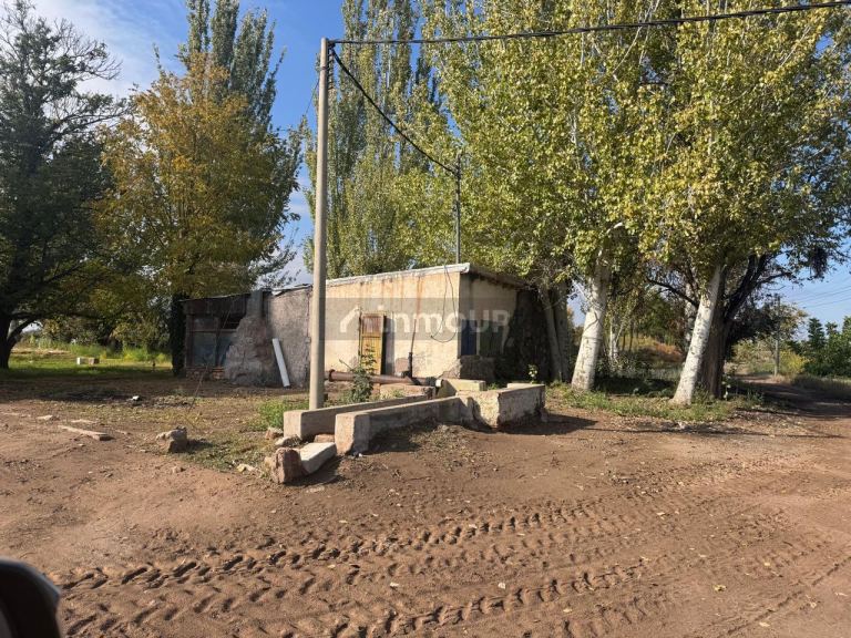 Finca en Venta en Lujan de Cuyo, Mendoza