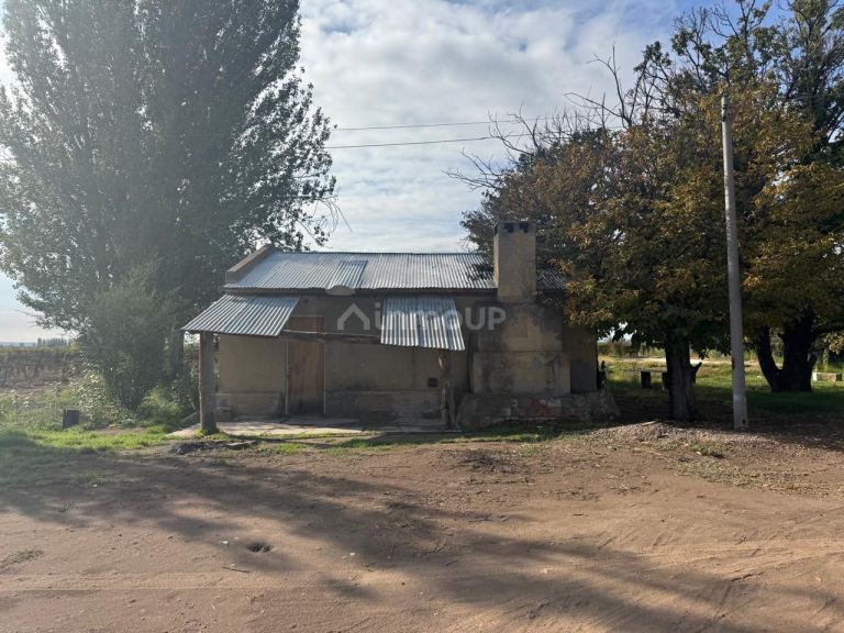 Finca en Venta en Lujan de Cuyo, Mendoza