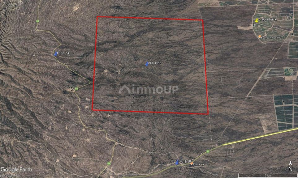 Campo en Venta en Lujan de Cuyo, Mendoza