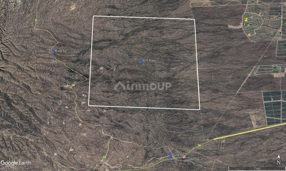 Campo en Venta en Lujan de Cuyo, Mendoza
