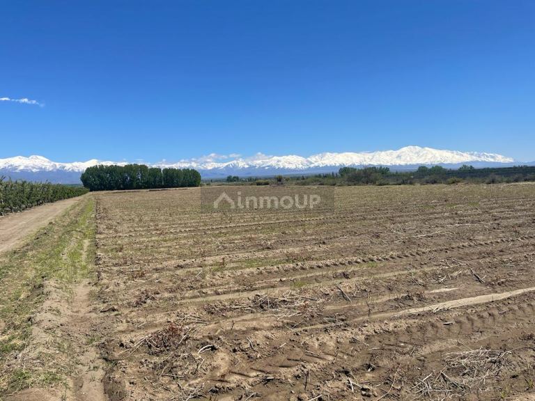 Finca en Venta en Tunuyan, Mendoza