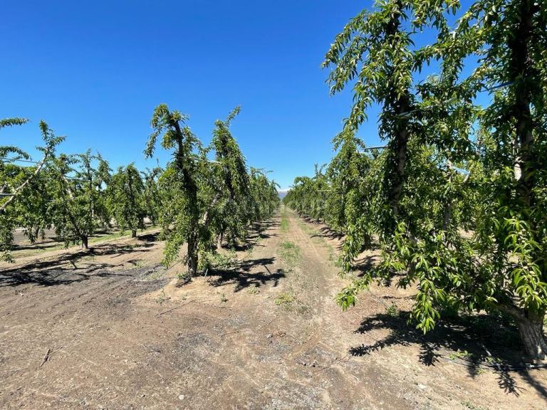 Finca en Venta en Tunuyan, Mendoza
