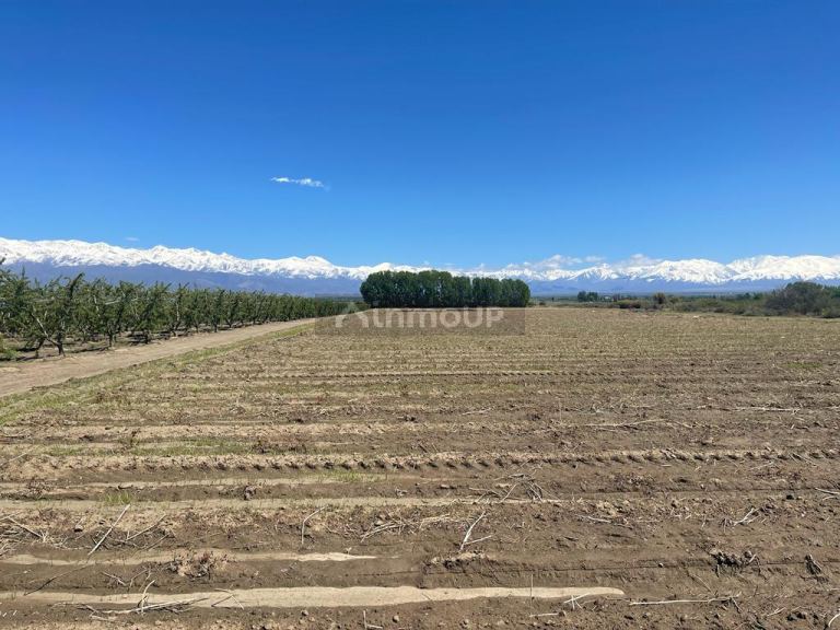 Finca en Venta en Tunuyan, Mendoza