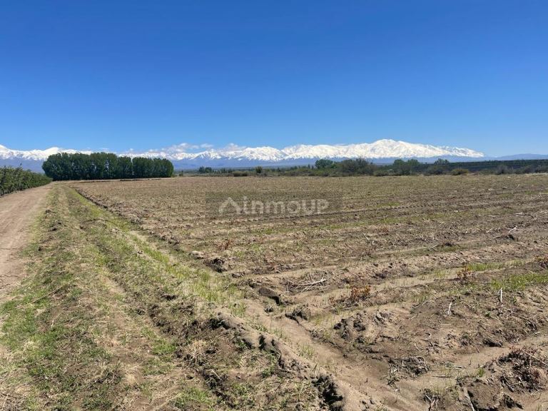 Finca en Venta en Tunuyan, Mendoza