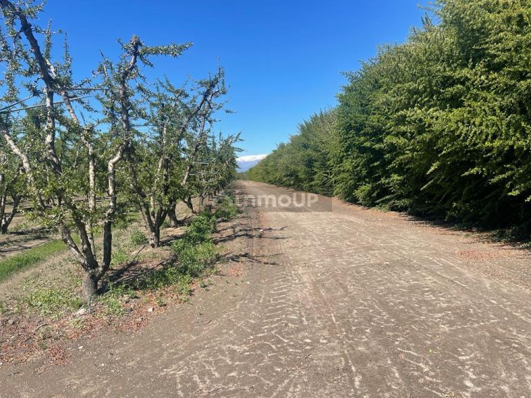 Finca en Venta en Tunuyan, Mendoza