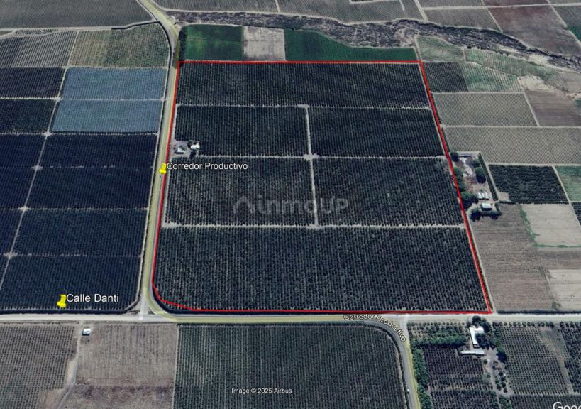 Finca en Venta en Tunuyan, Mendoza
