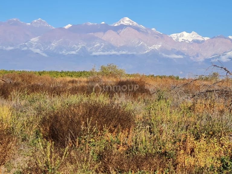 Finca en Venta en Tupungato, Mendoza
