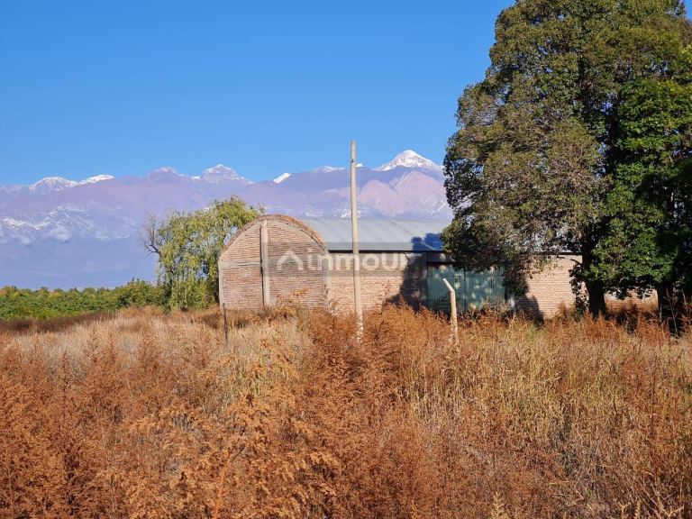 Finca en Venta en Tupungato, Mendoza
