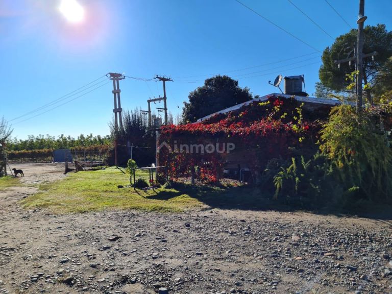 Finca en Venta en Tupungato, Mendoza