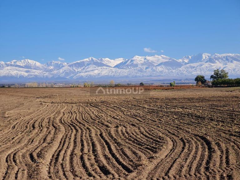 Finca en Venta en Tupungato, Mendoza