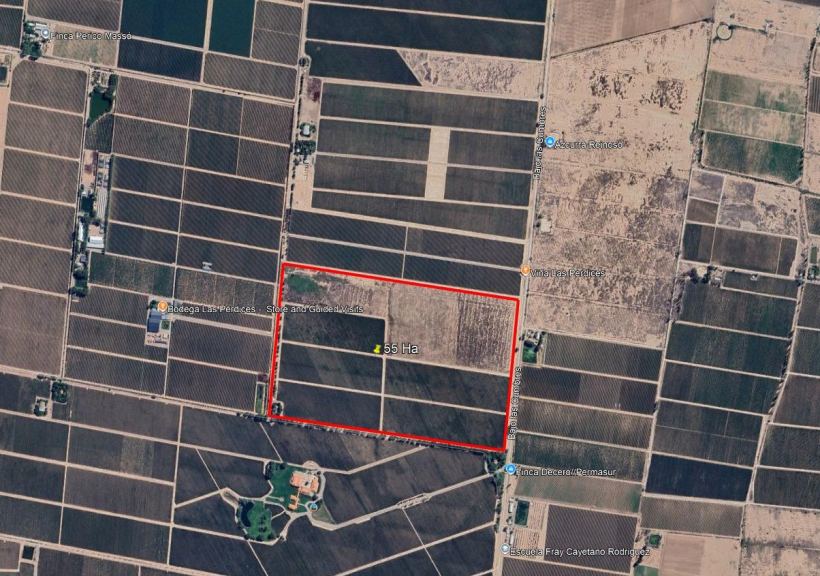 Finca en Venta en Lujan de Cuyo, Mendoza