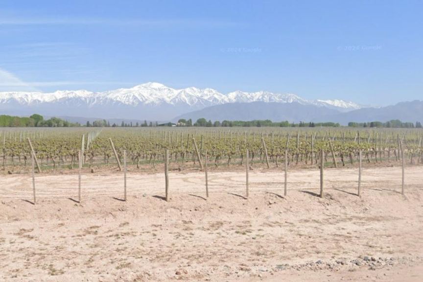 Finca en Venta en Lujan de Cuyo, Mendoza