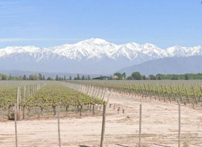 Finca en Venta en Lujan de Cuyo, Mendoza