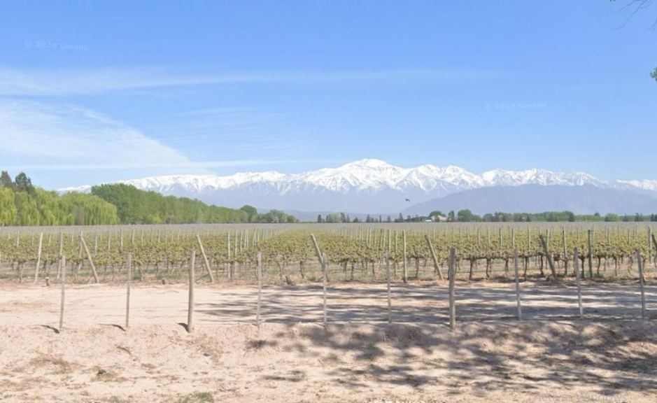 Finca en Venta en Lujan de Cuyo, Mendoza
